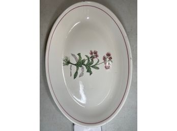 Vintage Primula Oval Serving Platter - Chimapila Umbellata