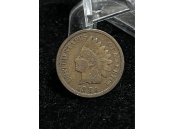 New England Coin Exchange | Auction Ninja