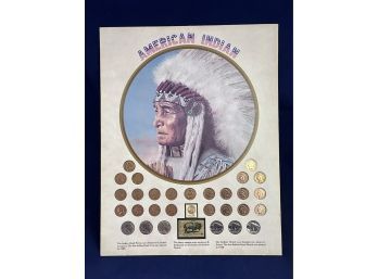 Indian Cent & Buffalo Nickel Collection