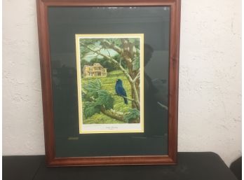 Hillforest- Blue Bunting- Framed Print
