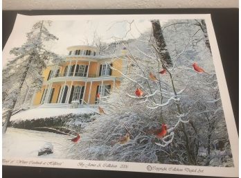 Winter Cardinals At Hill Forest Print