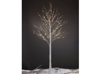 8ft Lightshare Birch Tree