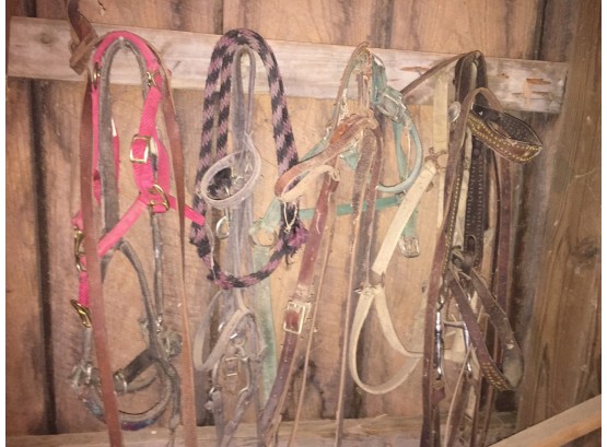 Various Bridles, Harnesses, Reins For Pony/donkey/mule-Moores Hill, IN