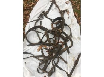 Mule/Donkey/pony Harness And Accessories #2-Moores Hill, IN