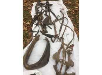 Mule/pony/donkey Harness And Accessories -Moores Hill, IN #1