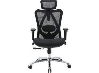 Shoo Office Chair, Retails For $360
