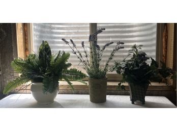 3 Faux House Plants