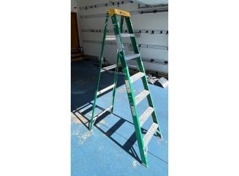 Davidson 7 Ft Green Ladder
