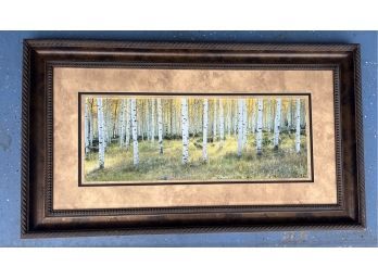 Framed Art - Aspen Grove