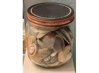 Decorative Sea Shell Glass Jar