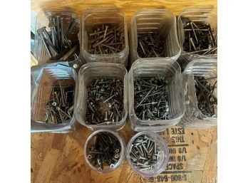 Large Lot Of Screws And Nails