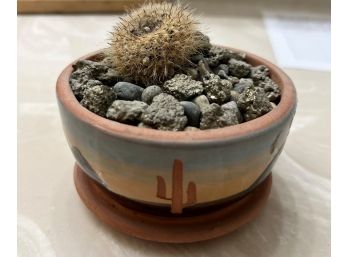 Cactus Plant Ceramic Pot