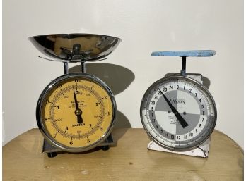 (2) Utility Scales Incl. Salter, Hanson