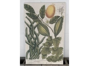 Large Botanical Print On Burlap