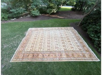 Room Size Area Rug