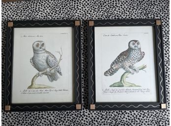 Pair Of Decorative Owl Lithographs
