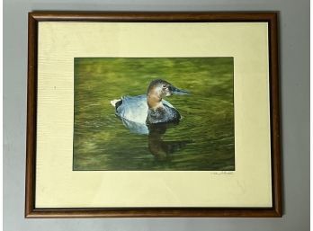 Duck Photograph Print
