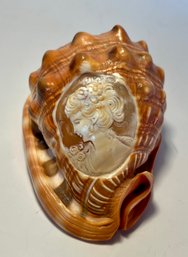 No 2 Vintage Italian Conch Shell Cameo With Detailed Hand Carved Lady Beautiful Color