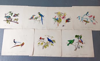 Set Of Seven Sketch Pad Paintings Of Various Bird Scenes, 14x 17 Inch