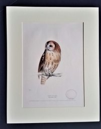 Antique 1838 Engraving 'Tawny Owl' H.L. Meyer, 19'by 15' Mat