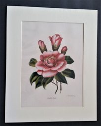 Vintage 1948 AM Holliday, Hand Color Rose, 20 Inch Mat