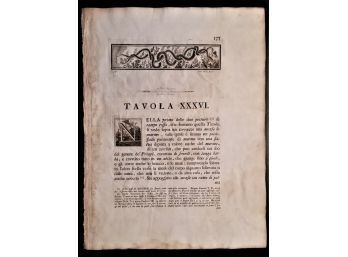 POMPEII 1760s Etching, HERCULANEUM TITLE PAGE TAVOLA XXXVI Antichit Di Ercolano