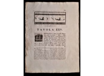 POMPEII 1760s Etching, HERCULANEUM TITLE PAGE TAVOLA XXIV Antichit Di Ercolano