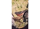 R.M. Peschel Oval Painting: Robin & Nest, 16 Inch