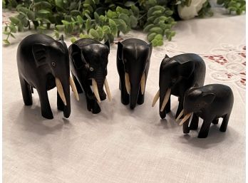 Set Of 5 Ebony Hand Carved Elephants With Creamy Tusks