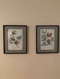 Audubon Bird Prints - Framed Pair