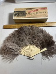 Super Cool Vintage Ostrich Feather Hand Fan In Original California  Cawston Ostrich Farm Box