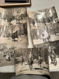 Fabulous Equestrian Photo Lot Snow Horses Pony 1967