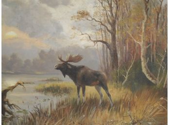 Frederick Von Luerzer (1858 - 1917) 1904 Original Oil Painting Of A Moose