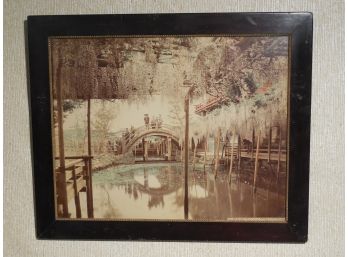 19th Century Large Hand Colored Albumen Photograph Of Wisteria Blossoms At Kameido Tokyo