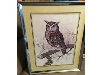1970's Horned Owl Print