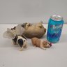 Short Nosed Babies Pug, Bulldog, Boston Terrier