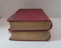 Antique 1890-1891 Charles Dickens Book Lot Awesome Find!