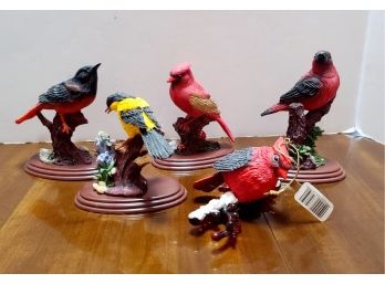 Adorable Bird Collection 1