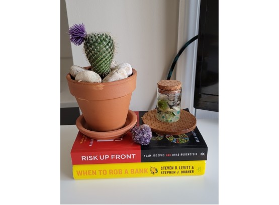 Books, Live Cactus, Amethyst And Terrarium