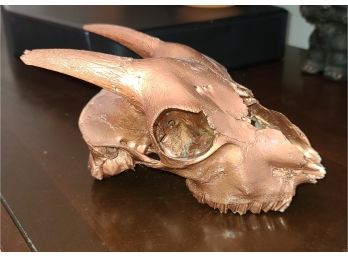 Gorgeous Copper Color Painted Skull