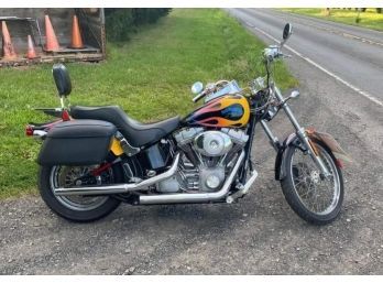 FLAMES 2003 Harley Davidson Softail FXST NOW THAT's A PRESENT