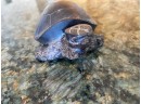 Iron Wood Turtle
