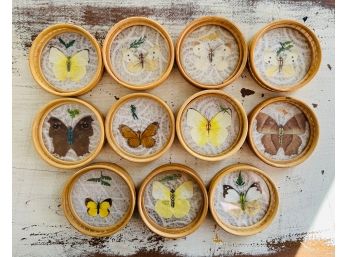 Vintage Bamboo Pressed Butterfly Tray & Coaster Set