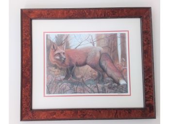 3 Framed Fox Prints And Photographs