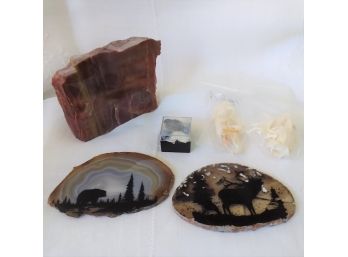 Geodes, Taxidermy, Fossils