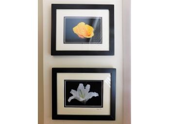 Two Framed Flower Artworks Signed TMW