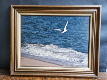 M75 - Framed Seagull Photograph(blown Up) - Unknown Photographer - 30.5'x24.5' - LOCAL PICKUP ONLY