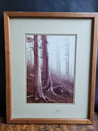 M135 - Hager Photograph - Signed - 17.25'x21.5' - LOCAL PICKUP ONLY