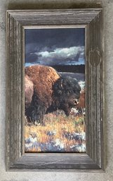 A7 Nice Frame 'restless' Buffalo Picture 14x23'
