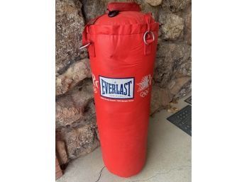 Red Everlast Punching Bag
